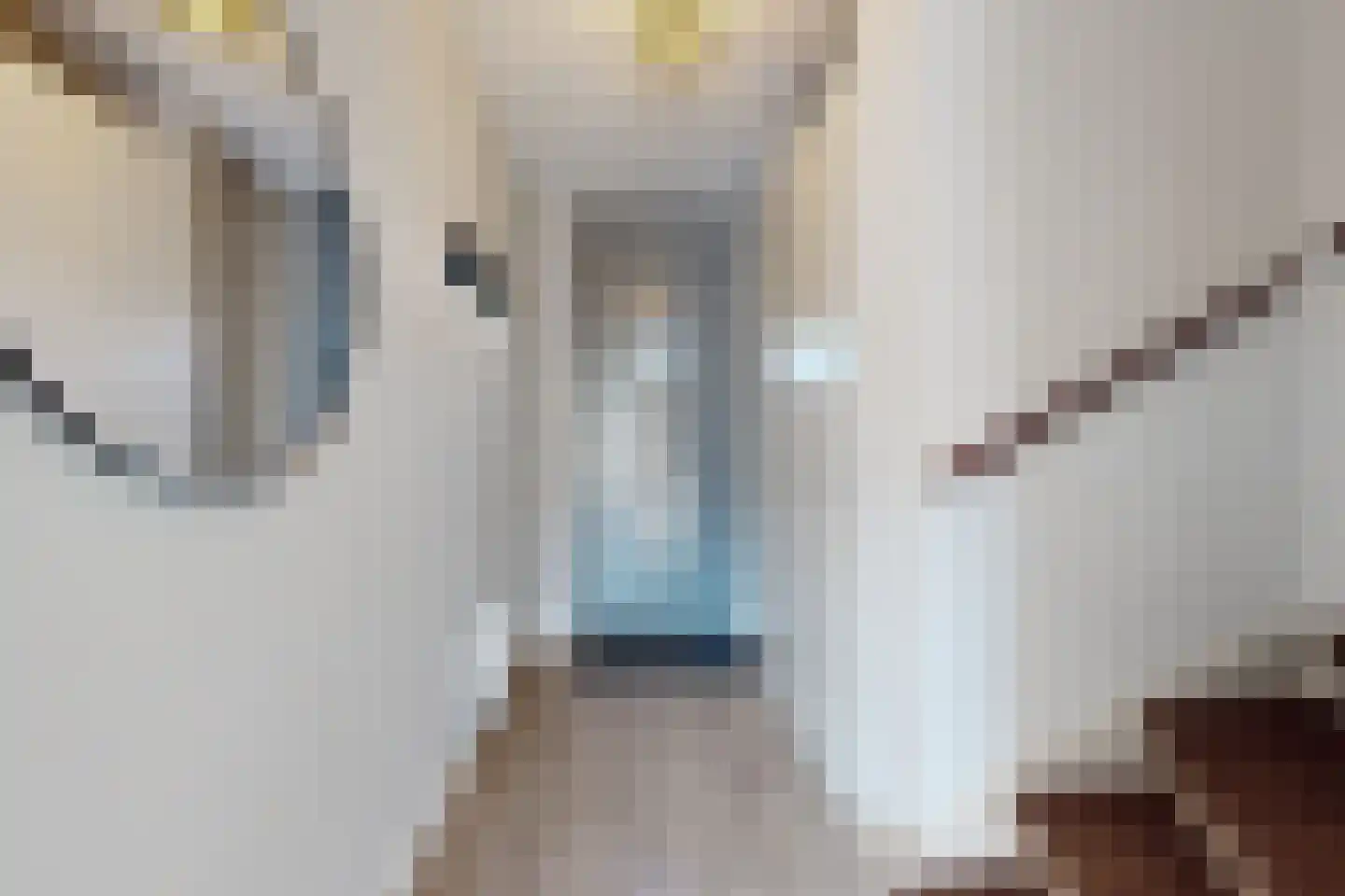 Brabantse Bellefleur 87 Fijnaart thumbnail 7