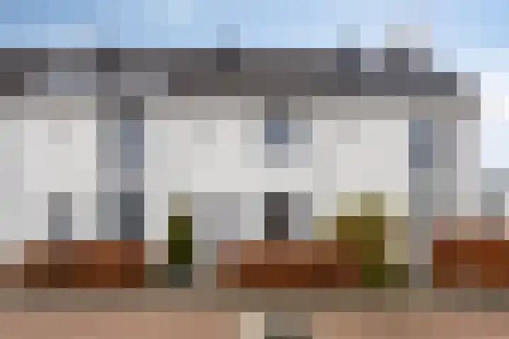 Brabantse Bellefleur 89 Fijnaart