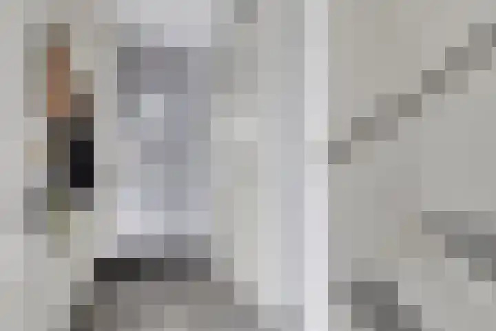 Brabantse Bellefleur 89 Fijnaart thumbnail 10
