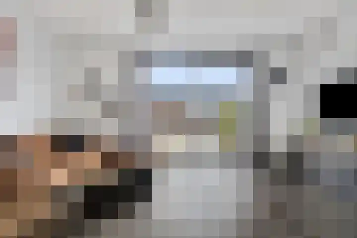 Brabantse Bellefleur 89 Fijnaart thumbnail 13