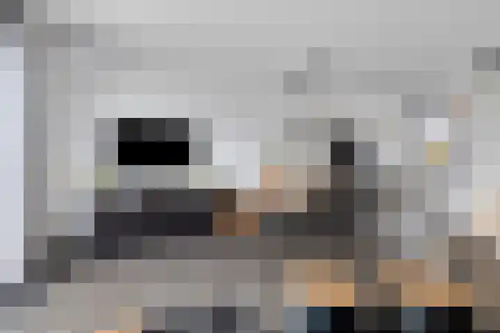 Brabantse Bellefleur 89 Fijnaart thumbnail 17