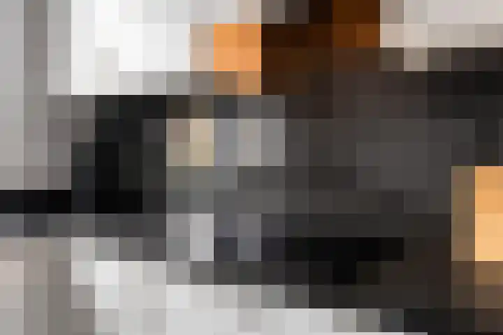 Brabantse Bellefleur 89 Fijnaart thumbnail 21