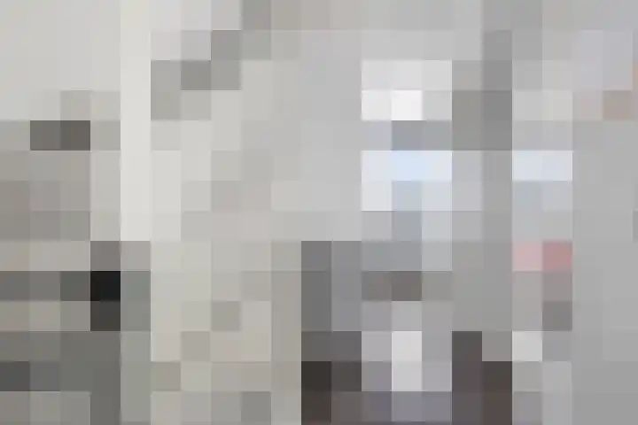 Brabantse Bellefleur 89 Fijnaart thumbnail 23