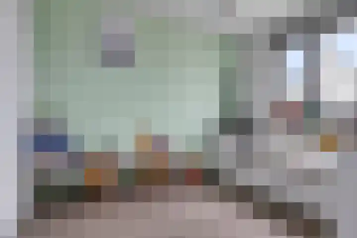 Brabantse Bellefleur 89 Fijnaart thumbnail 26