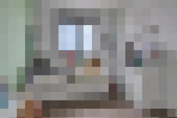 Brabantse Bellefleur 89 Fijnaart thumbnail 27