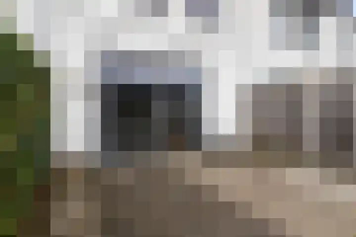 Brabantse Bellefleur 89 Fijnaart thumbnail 32