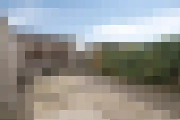 Brabantse Bellefleur 89 Fijnaart thumbnail 33