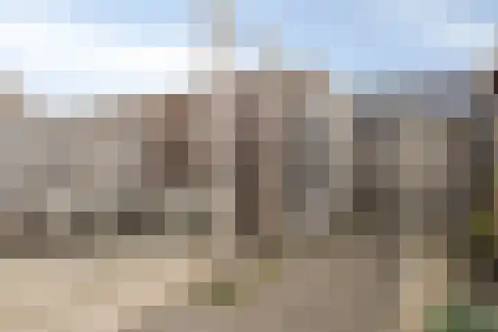 Brabantse Bellefleur 89 Fijnaart thumbnail 35