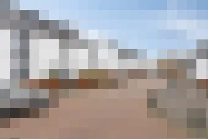 Brabantse Bellefleur 89 Fijnaart thumbnail 36