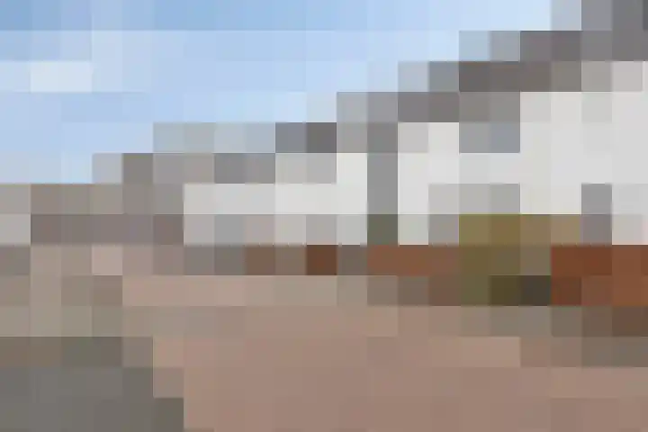 Brabantse Bellefleur 89 Fijnaart thumbnail 37