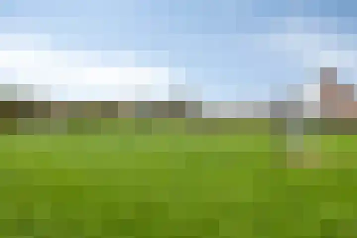 Brabantse Bellefleur 89 Fijnaart thumbnail 39