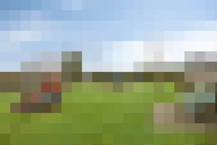 Brabantse Bellefleur 89 Fijnaart thumbnail 40