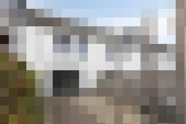 Brabantse Bellefleur 89 Fijnaart thumbnail 6