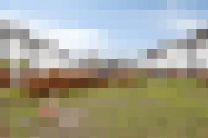 Brabantse Bellefleur 89 Fijnaart thumbnail 7