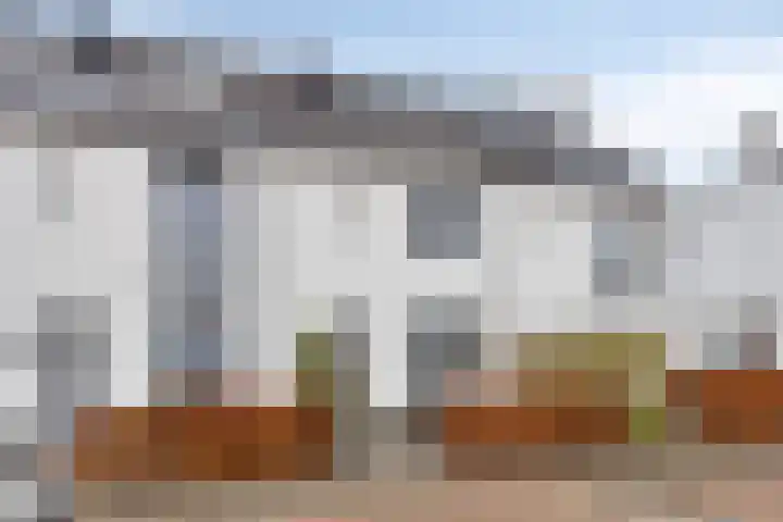 Brabantse Bellefleur 89 Fijnaart thumbnail 8