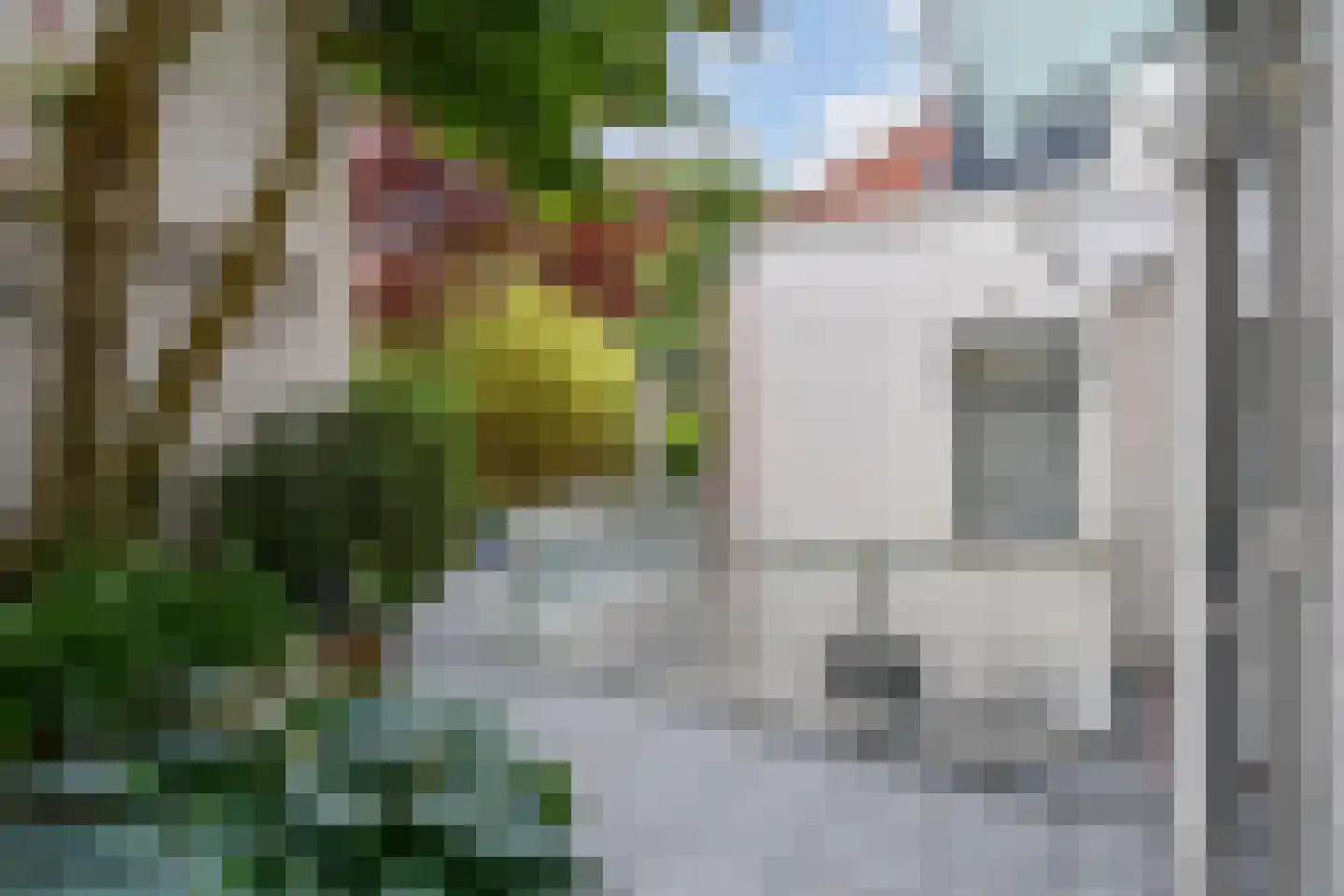 Brabantse Turfmarkt 3 Delft thumbnail 15