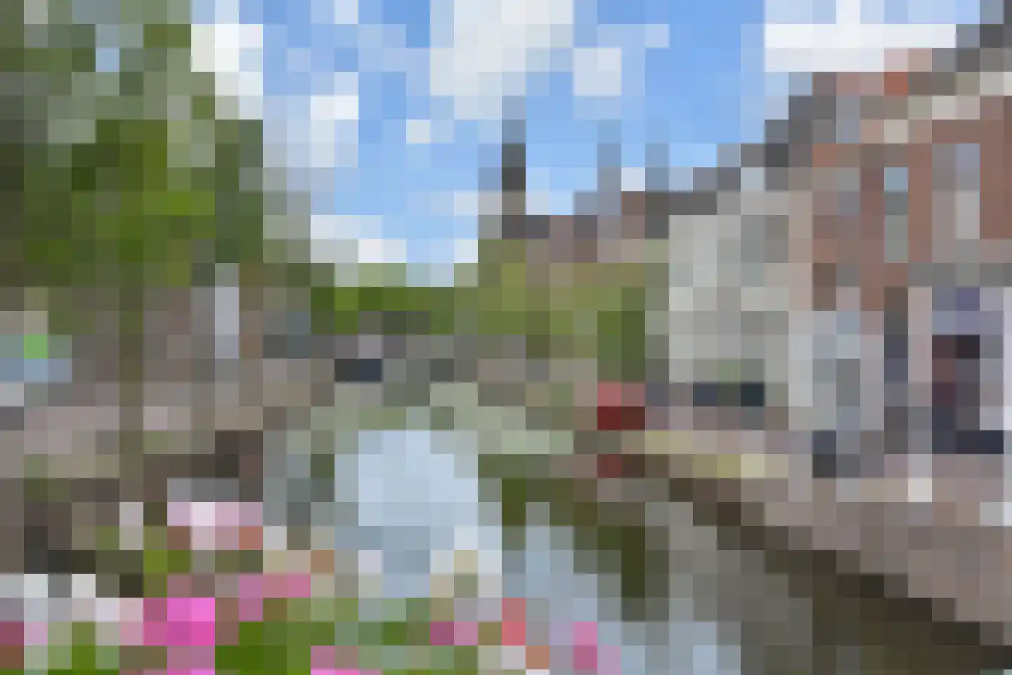 Brabantse Turfmarkt 3 Delft thumbnail 4