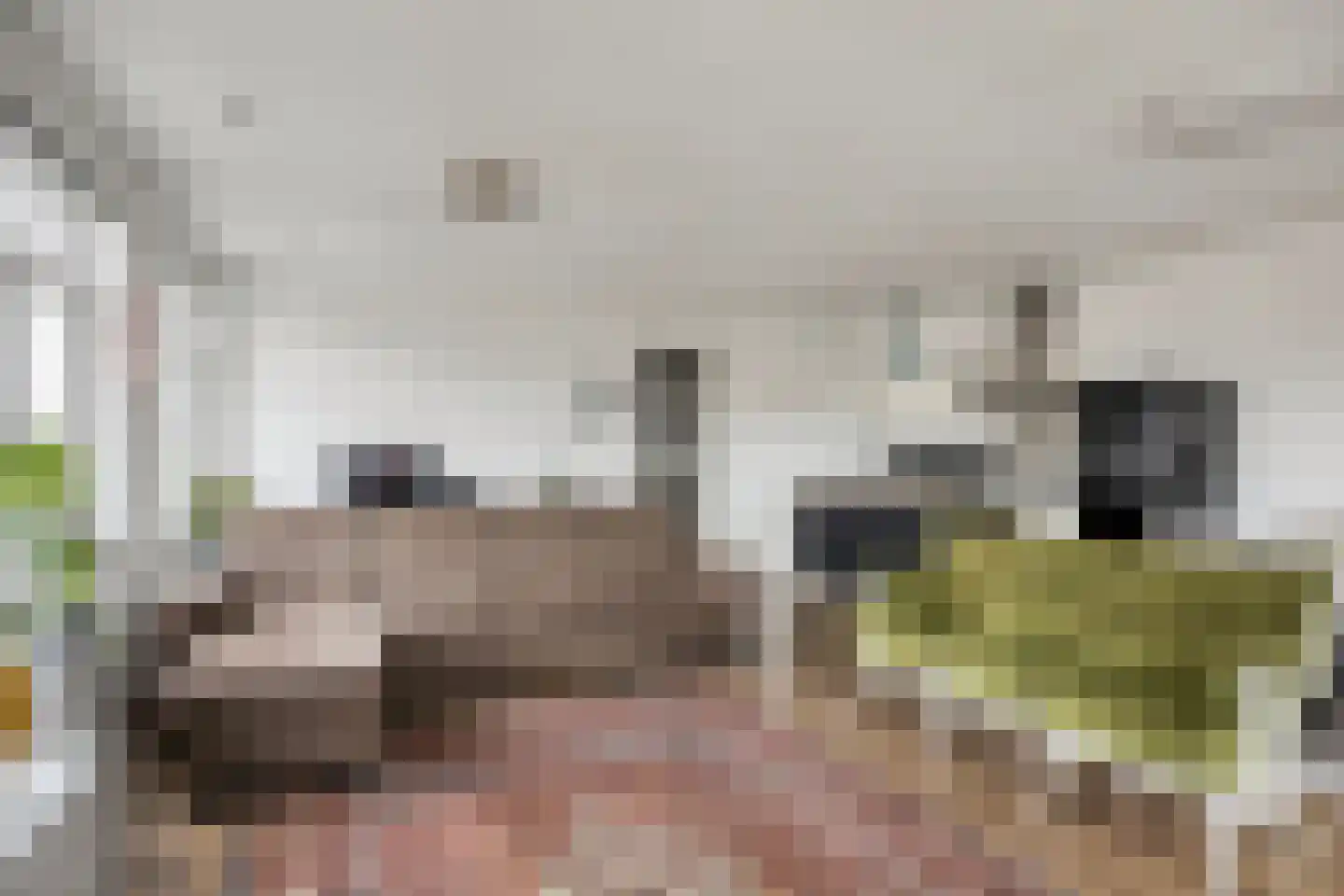 Brabantsestraat 11 Rotterdam thumbnail 13