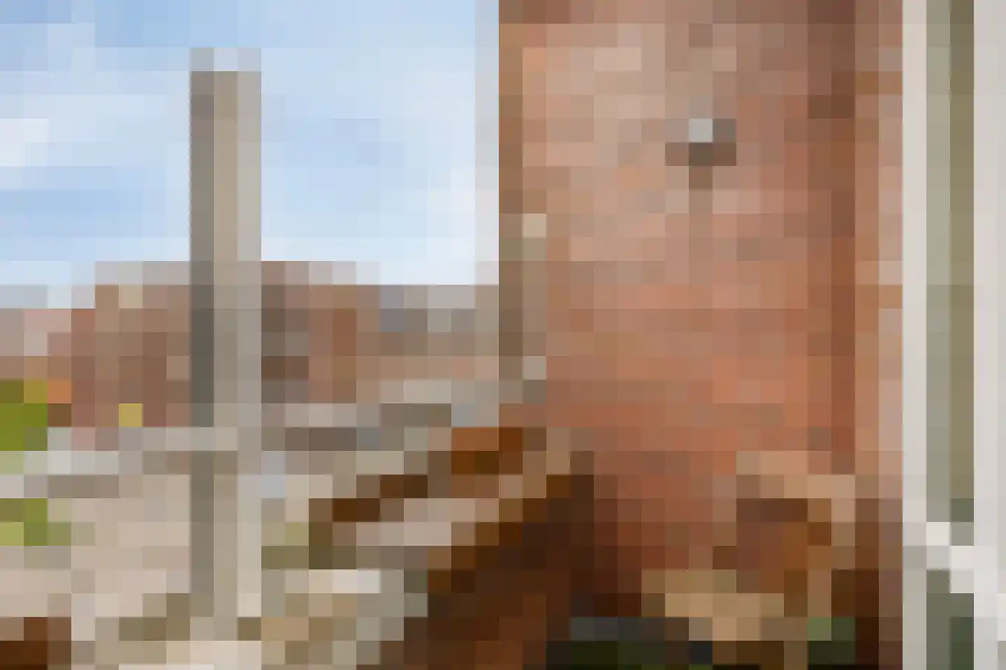 Brabantsestraat 11 Rotterdam thumbnail 16