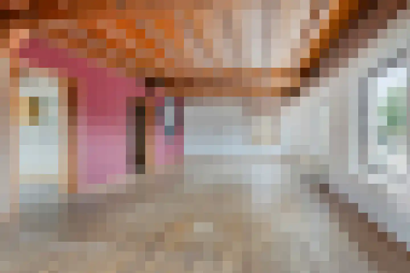 Brabantseweg 2 A Drunen thumbnail 17