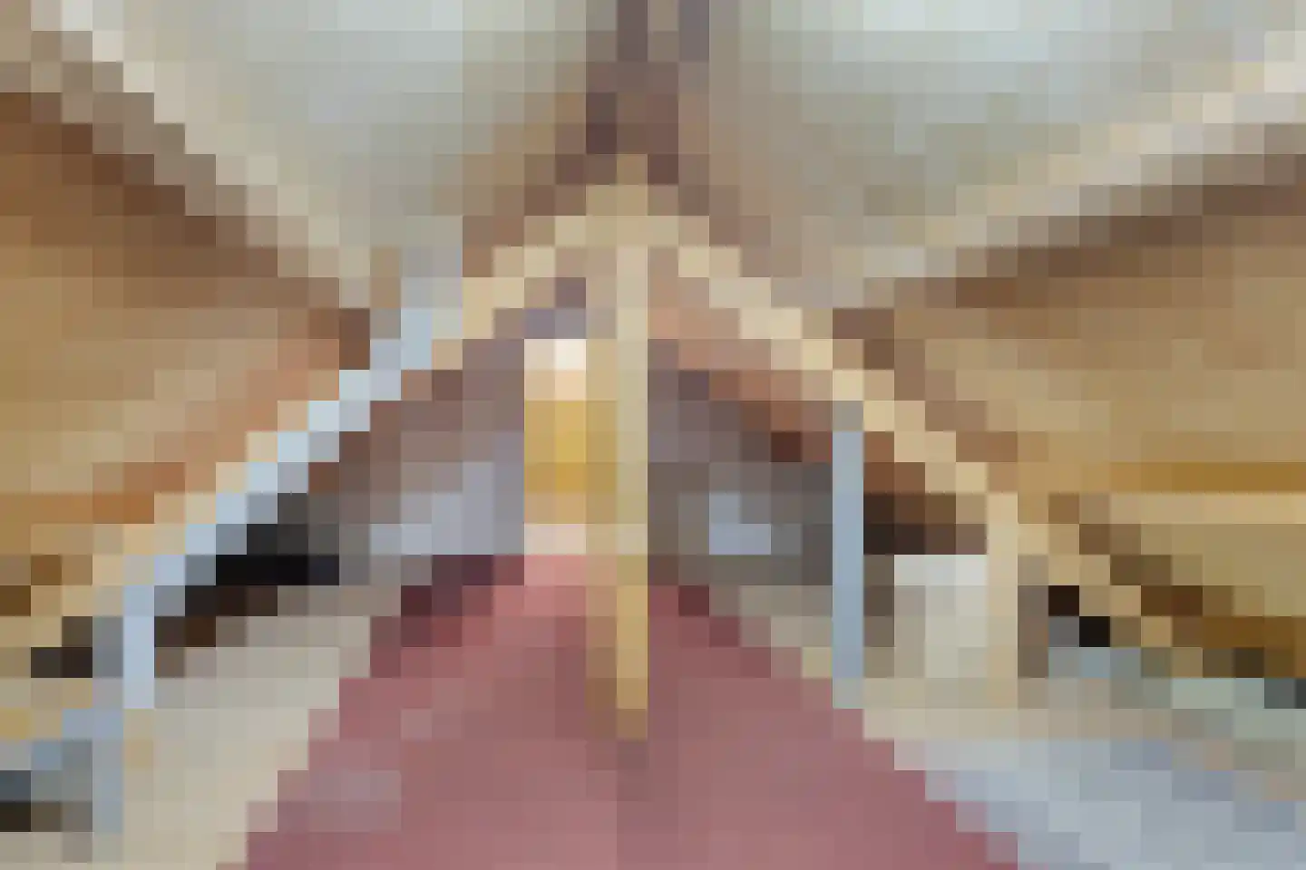 Brabantseweg 2 A Drunen thumbnail 21