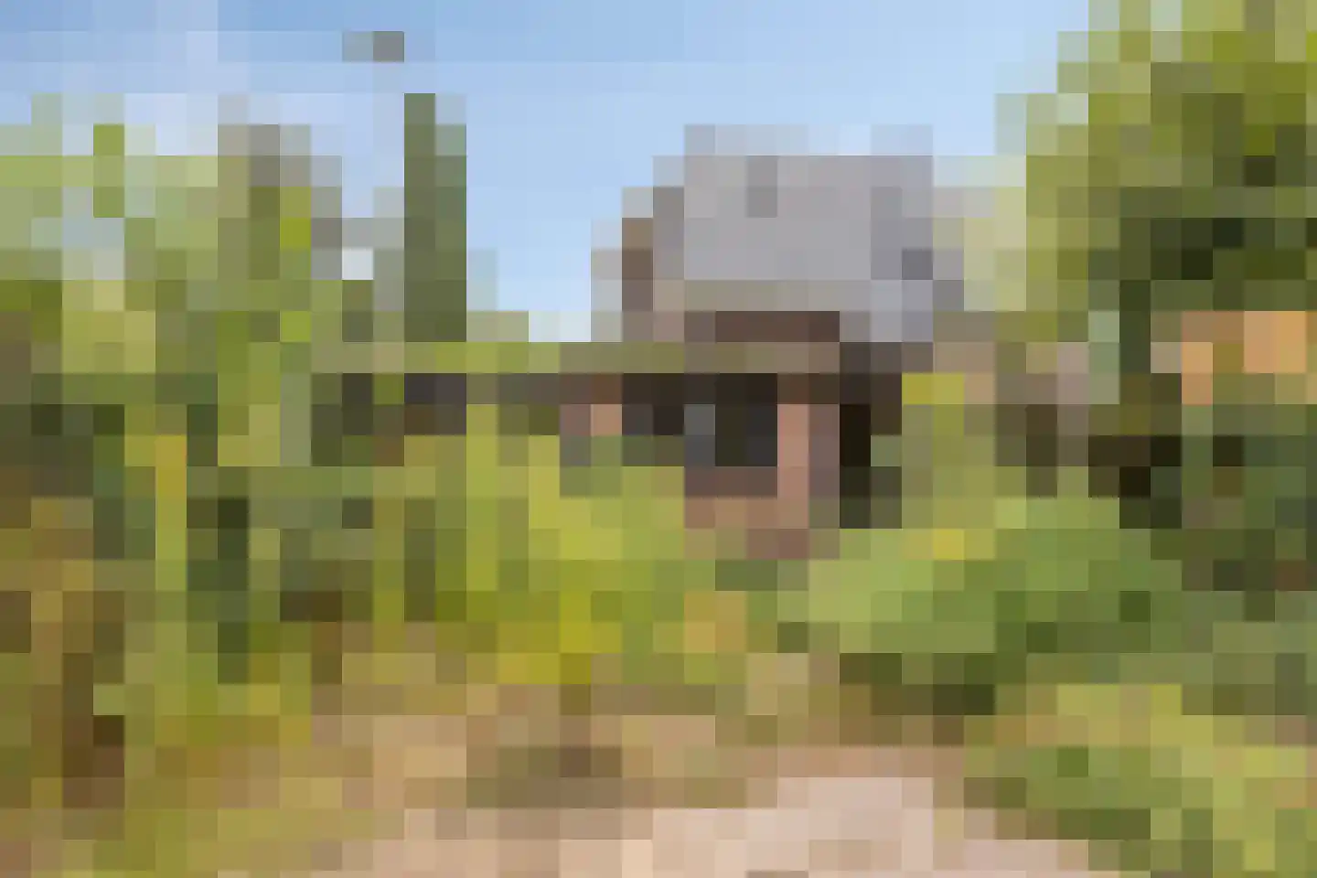 Brabantseweg 2 A Drunen thumbnail 25