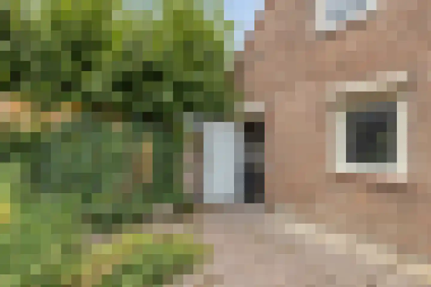 Brabantseweg 2 A Drunen thumbnail 26