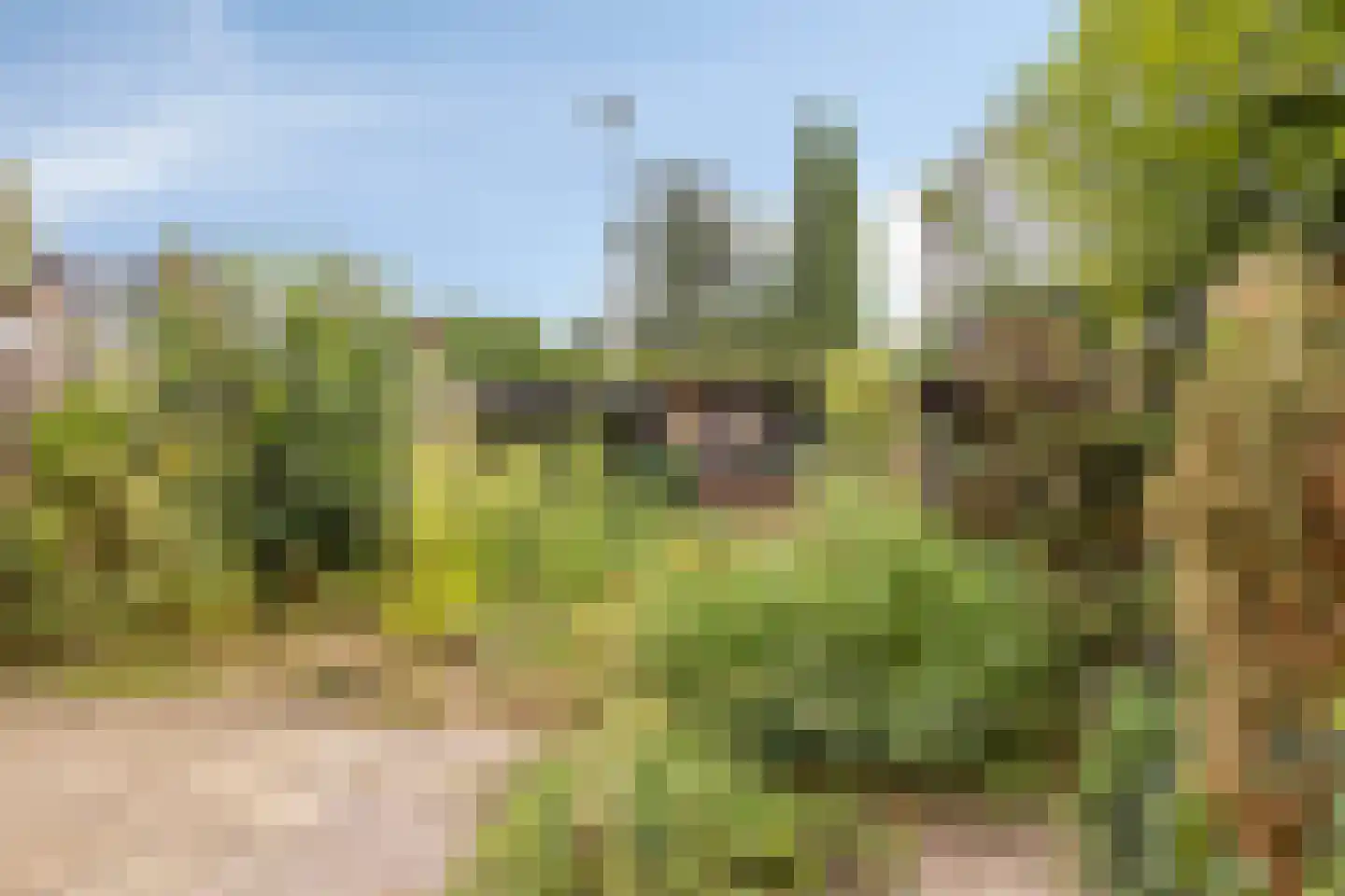 Brabantseweg 2 A Drunen thumbnail 5