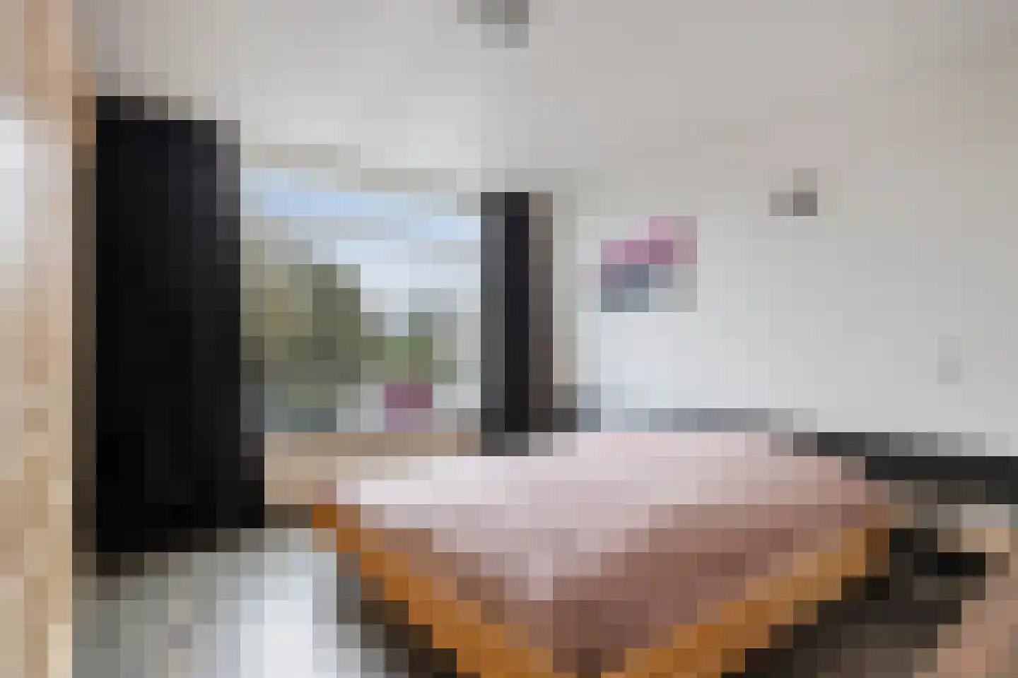 Brabantstraat 1 Prinsenbeek thumbnail 19