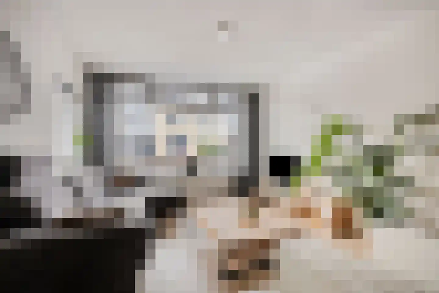 Brabantstraat 1 Prinsenbeek thumbnail 6