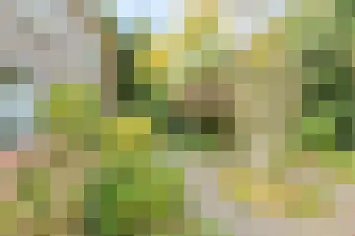 Brabantstraat 1 Terheijden thumbnail 10