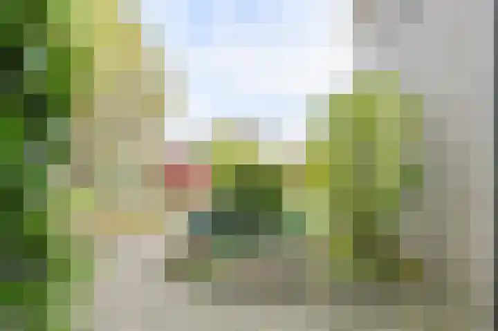 Brabantstraat 1 Terheijden thumbnail 11
