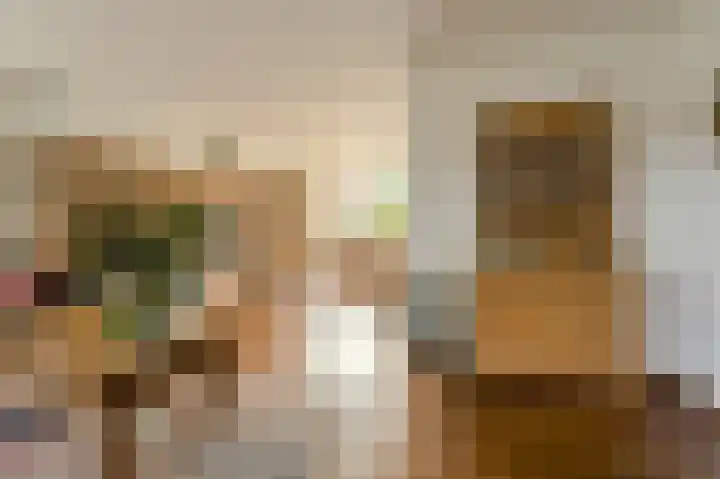 Brabantstraat 1 Terheijden thumbnail 14
