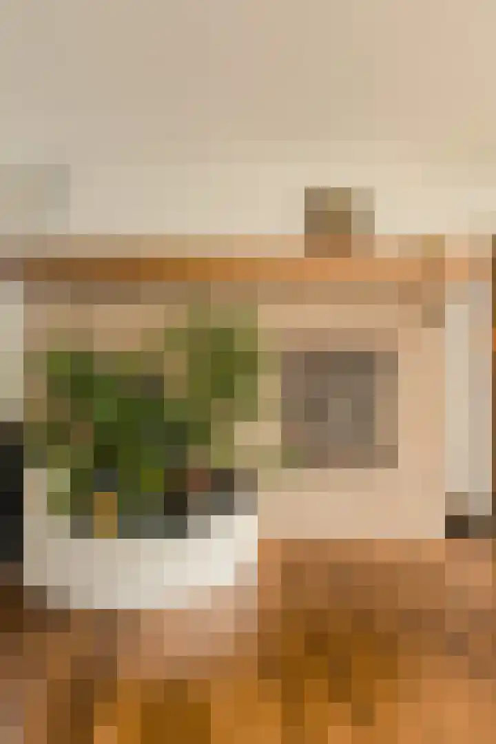 Brabantstraat 1 Terheijden thumbnail 17