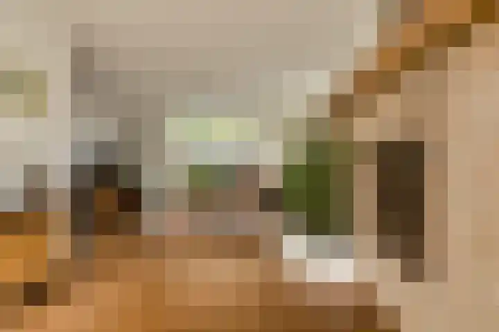 Brabantstraat 1 Terheijden thumbnail 19