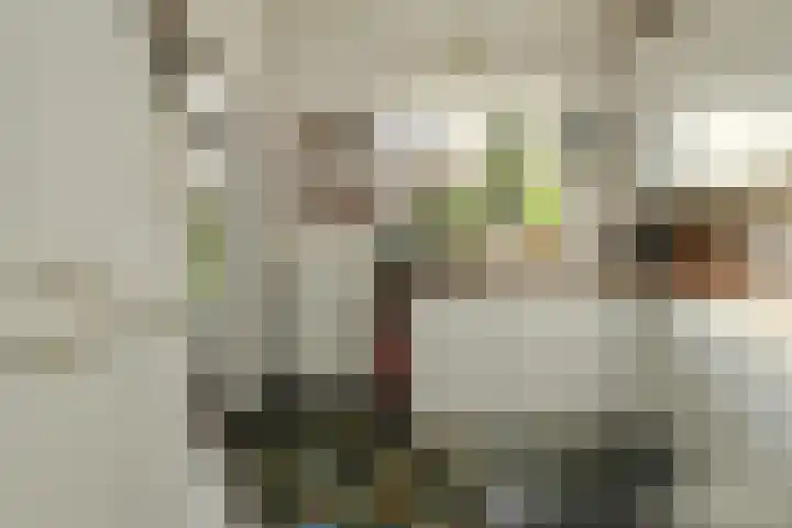Brabantstraat 1 Terheijden thumbnail 21