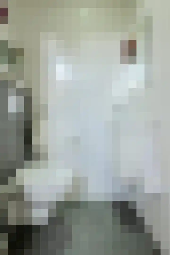 Brabantstraat 1 Terheijden thumbnail 23