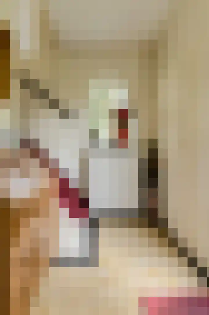 Brabantstraat 1 Terheijden thumbnail 25