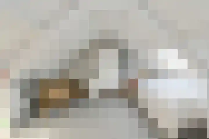 Brabantstraat 1 Terheijden thumbnail 35