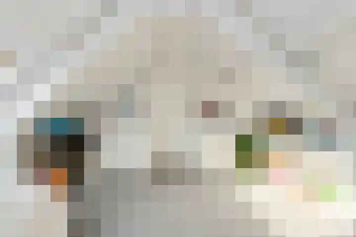 Brabantstraat 1 Terheijden thumbnail 36