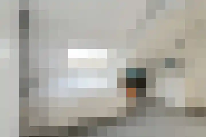Brabantstraat 1 Terheijden thumbnail 37