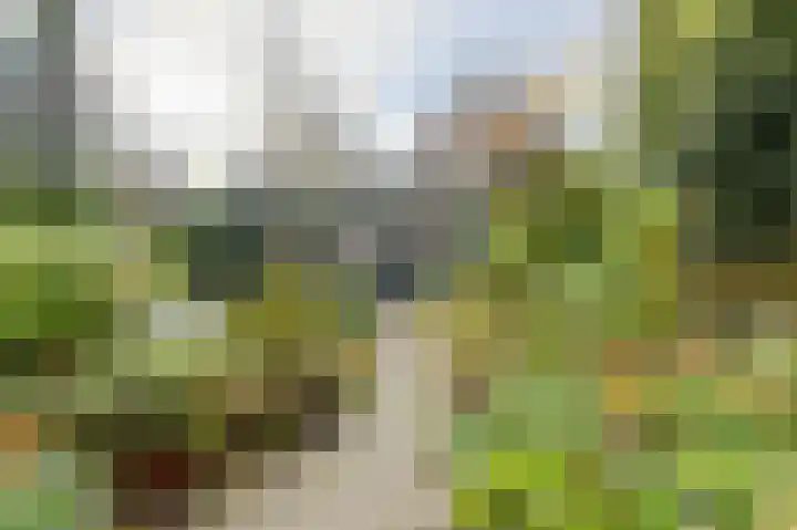 Brabantstraat 1 Terheijden thumbnail 40