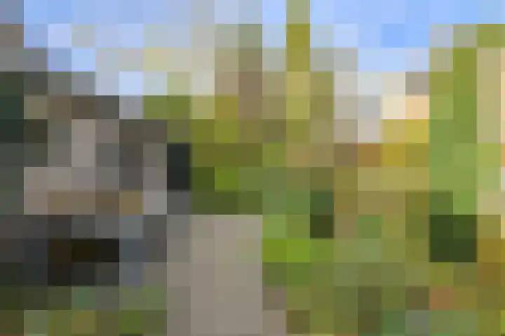 Brabantstraat 1 Terheijden thumbnail 42