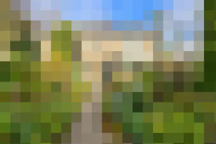 Brabantstraat 1 Terheijden thumbnail 43