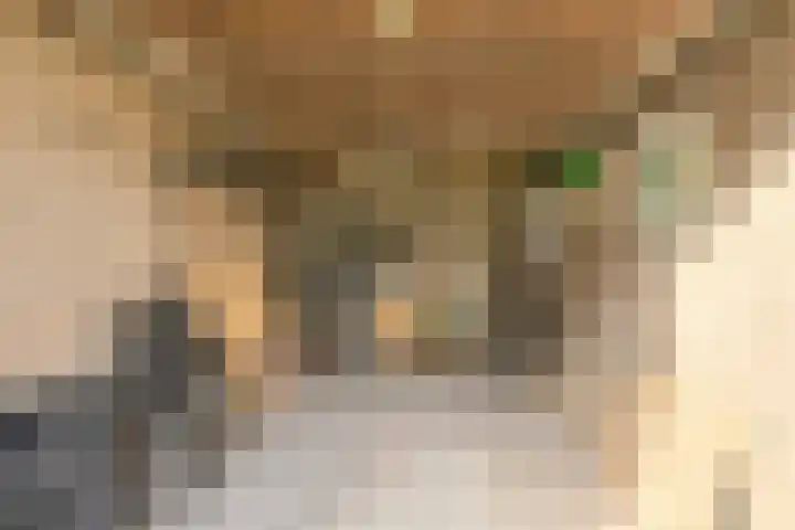 Brabantstraat 1 Terheijden thumbnail 45