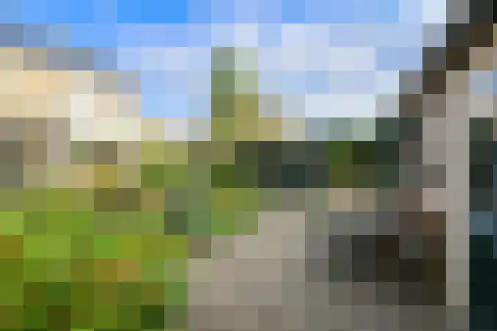 Brabantstraat 1 Terheijden thumbnail 5