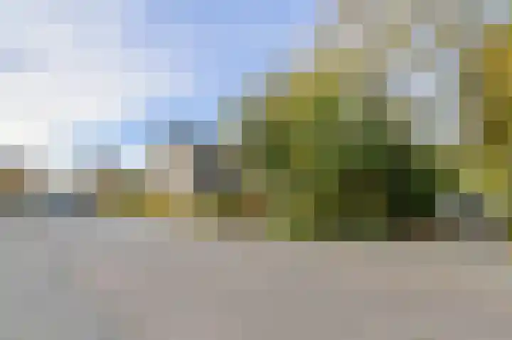 Brabantstraat 1 Terheijden thumbnail 6