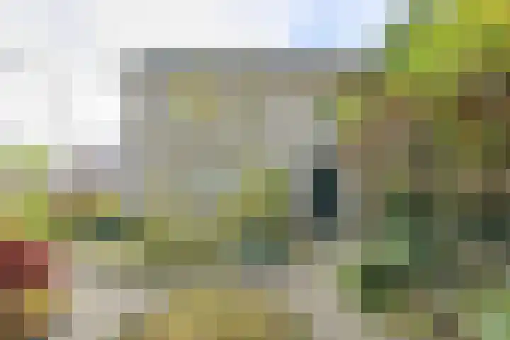 Brabantstraat 1 Terheijden thumbnail 9