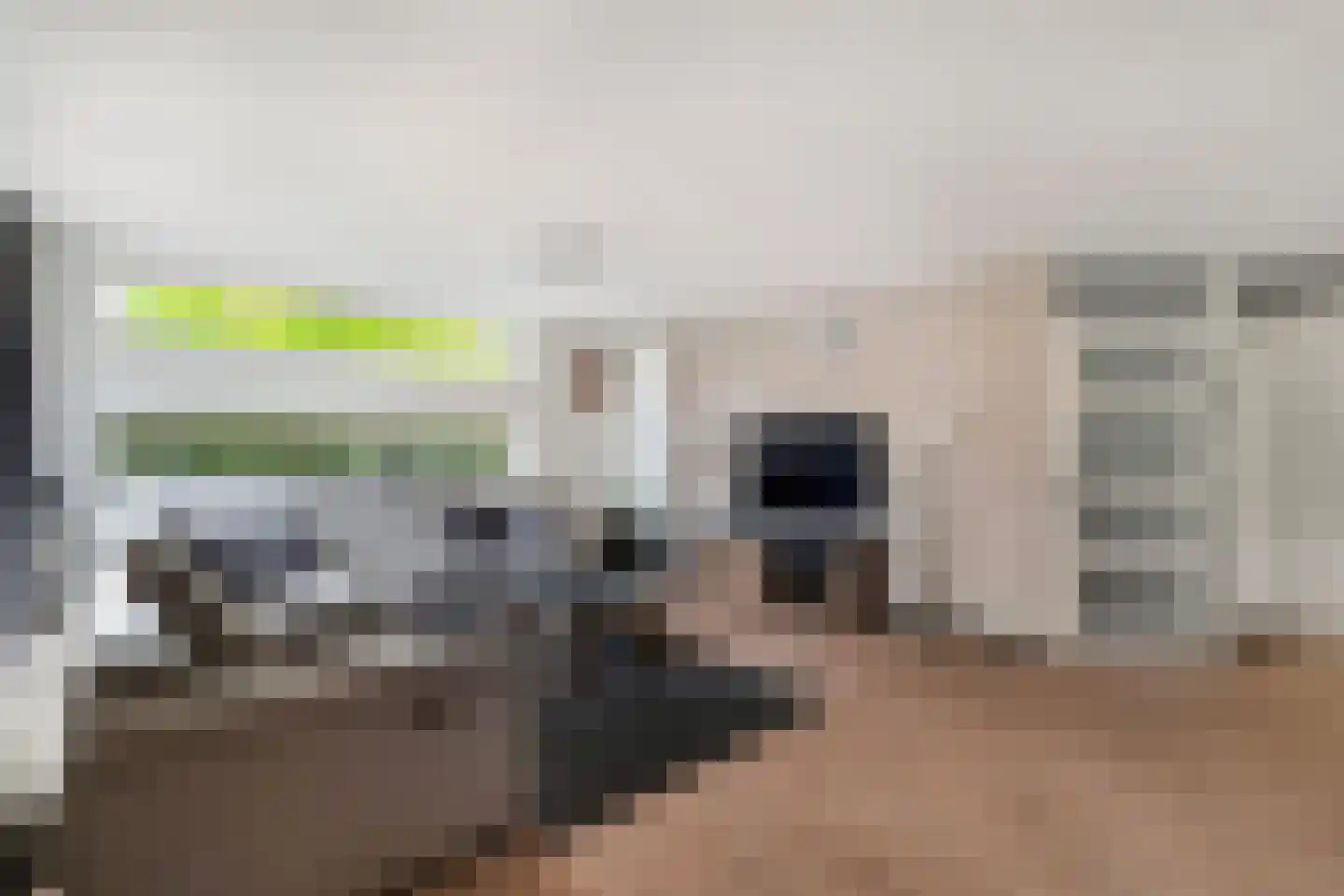 Brabantstraat 13 Alphen aan den Rijn thumbnail 12