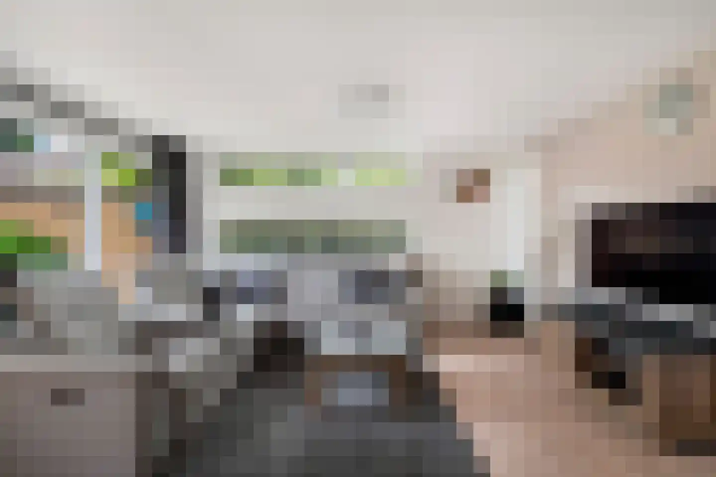 Brabantstraat 13 Alphen aan den Rijn thumbnail 13